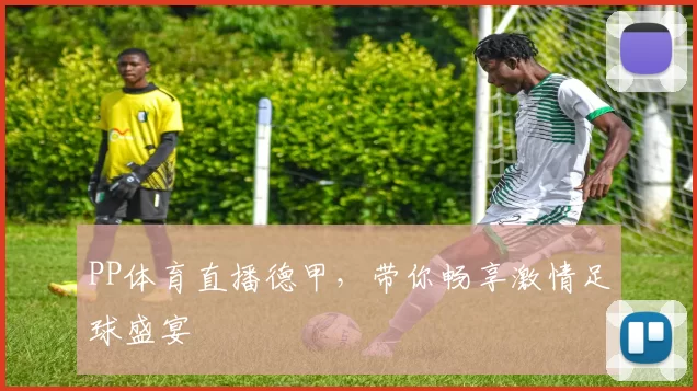 PP体育直播德甲，带你畅享激情足球盛宴