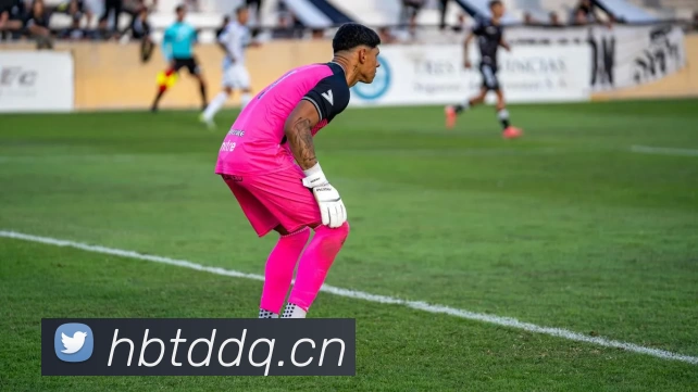 kaiyun「中国大陆」云开·门户网站 - 官方网站|登录入口平台生态图